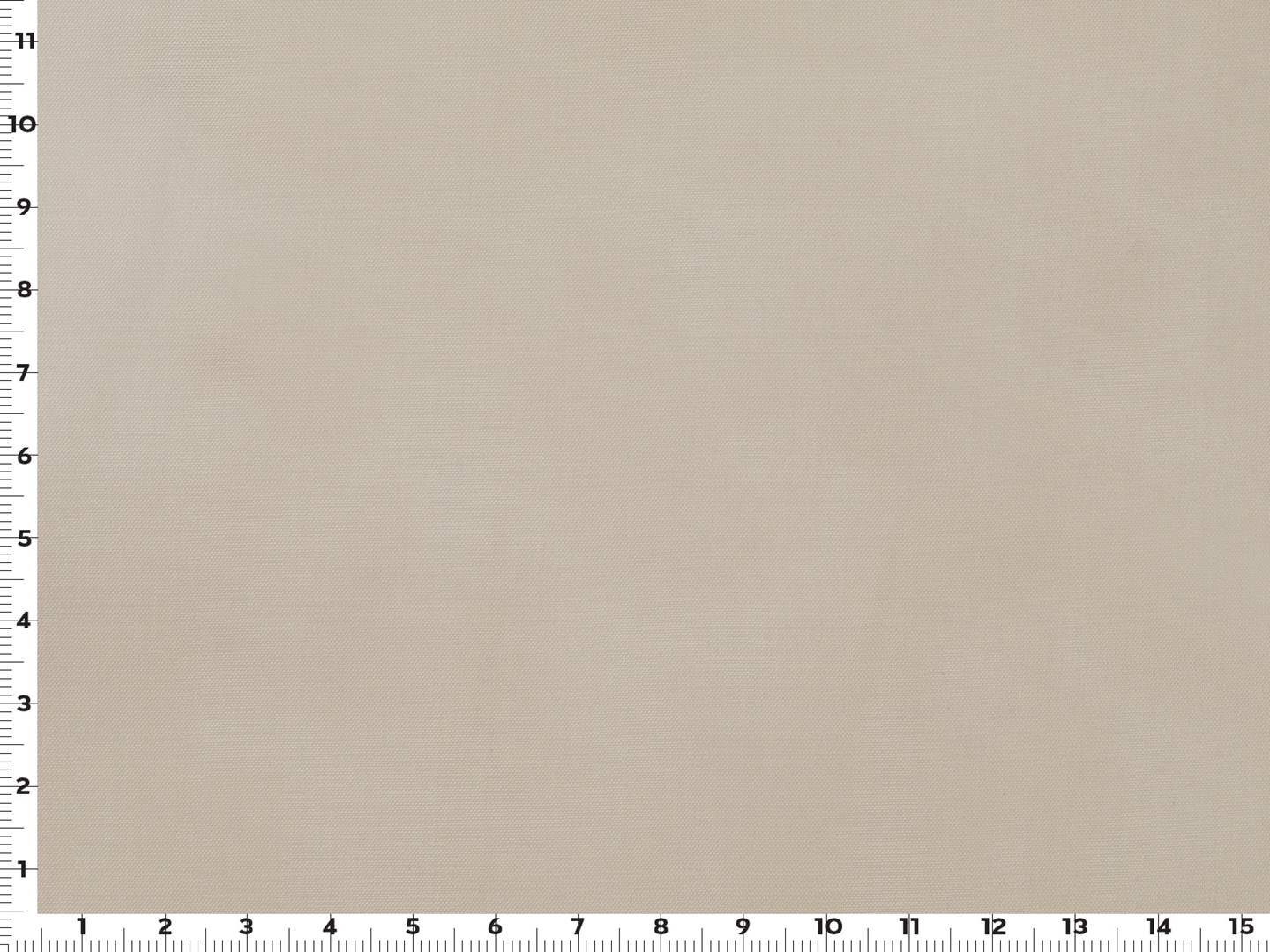 Olive Gray